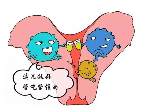 注意 雌激素分泌異常危害多,當心也會致不孕