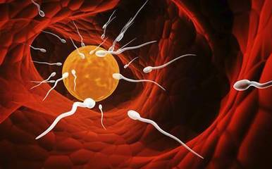 跟我學中醫(yī) | 卵巢及激素在一個周期內是如何變化的?