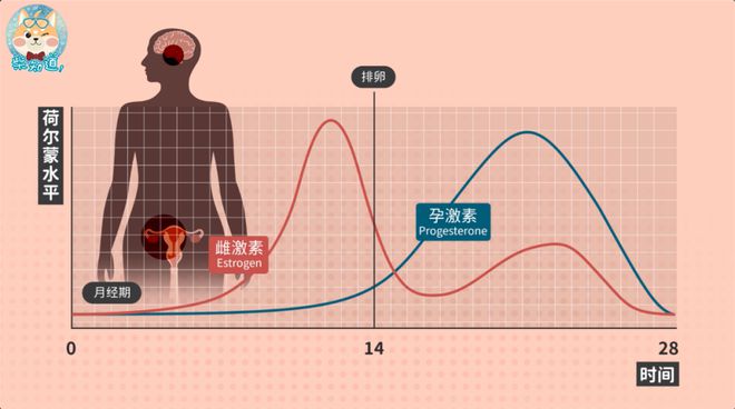 科學(xué)避孕方法匯總!享受七夕前,你要先了解這些知識|圖文