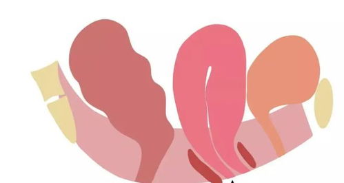 魏廣運私密整形 美麗綻放