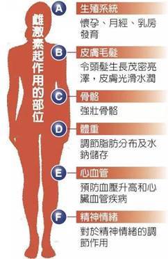 最全性激素六項檢查指南,報告單該這樣看!