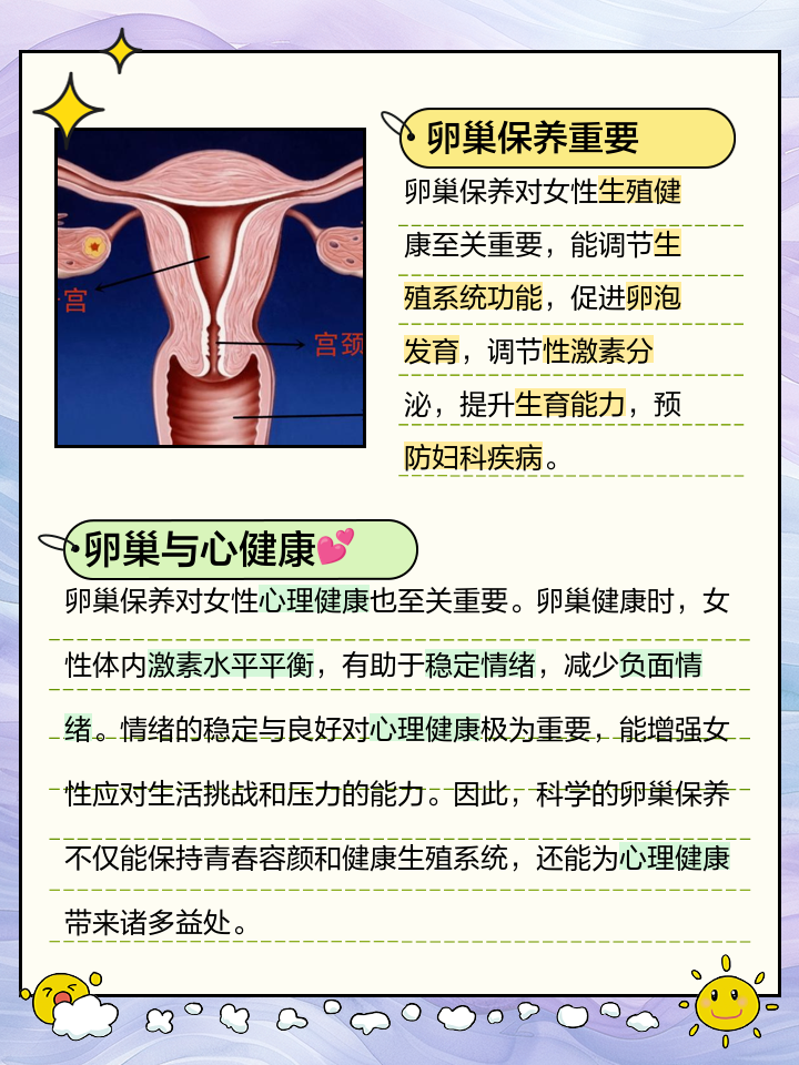 卵巢是女性重要的生殖器官,主要功能是分泌女性激素和產生卵子,維持