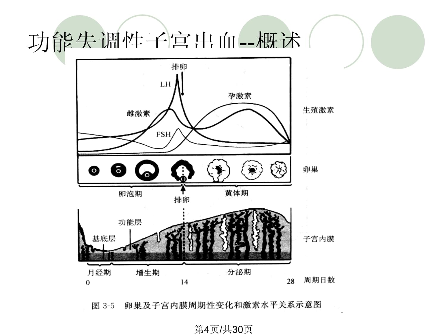 功能失調性子宮出血營養治療