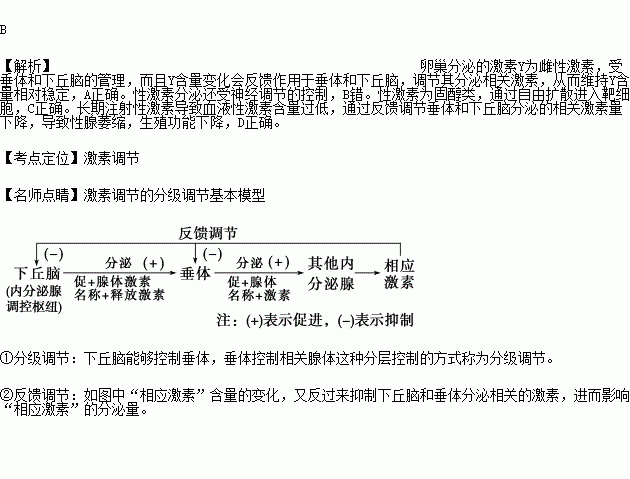 如圖為動物的生理過程示意圖.下列相關分析中.錯誤的是a.激素y含量的相對穩定是分級調節和反饋調節共同維持的b.該生理過程的調節只有體液調節方式c.激素y到達靶細胞后