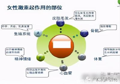 由理營養丨更年期到了?別擔心,教你營養體重兩手抓