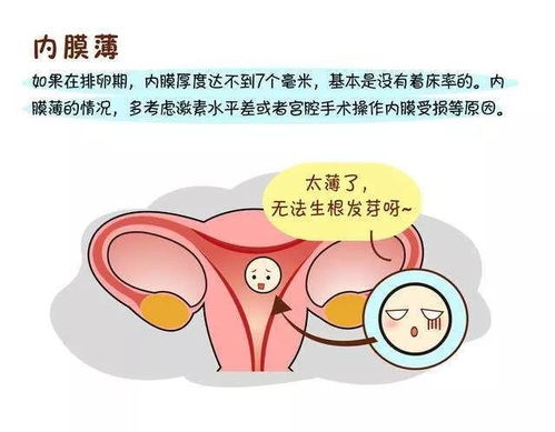 試管科普 子宮內膜薄能做試管嬰兒嗎