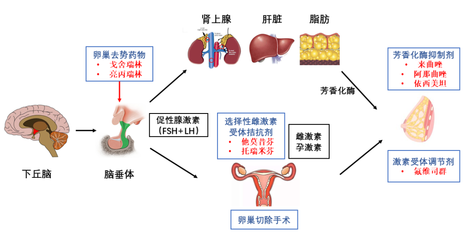 "粉紅絲帶月"科普專欄 :聽說內分泌治療要持續十年,是真的