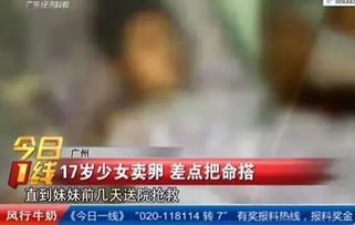 捐精 捐卵 代孕大起底