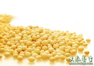 保護男人生命最重要的10種養生食物