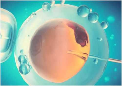 正經科普 fsh正常值是多少fsh低是什么問題