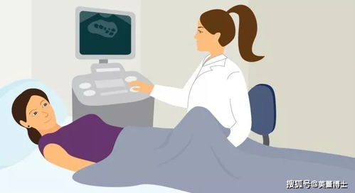 山東大學附屬生殖醫院高芹醫生 怎樣選擇冷凍胚胎的移植方案