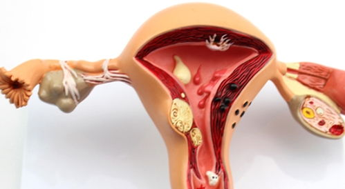 女人懷孕后，姨媽去哪兒了？了解生殖激素，感動生命的奇妙旅程