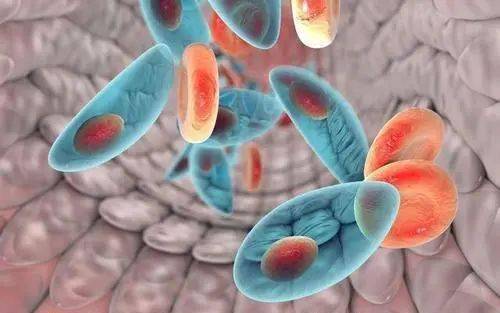 困擾多年的生殖器潰瘍，竟是因為生殖激素失衡