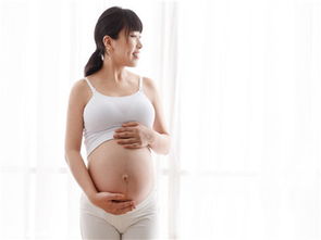 試管嬰兒為何也會發生宮外孕？醫生解析與生殖激素的作用