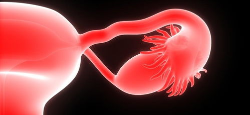 生殖激素 維持女性生殖系統功能的三大關鍵激素