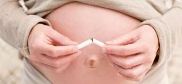 提升卵子質量 生殖激素的關鍵作用與應對策略