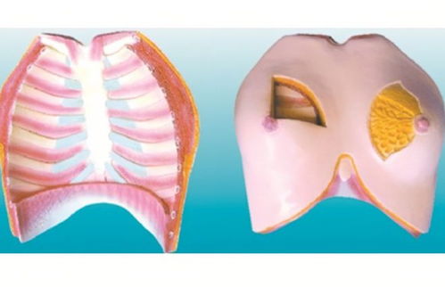 晚上經常吸女性乳房，健康嗎？醫生提醒男人 放過妻子吧